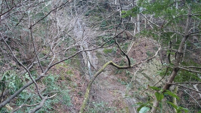 b0148050_82889.jpg