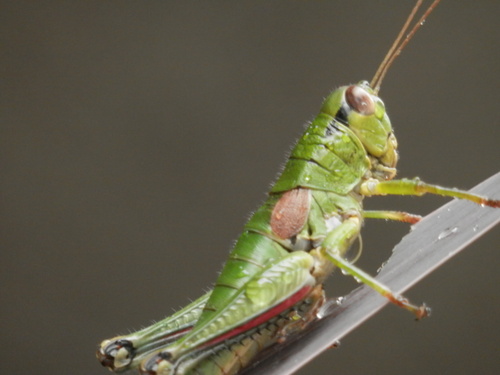 e0288951_17414077.jpg