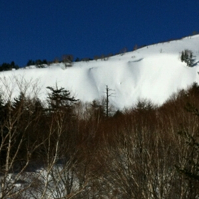 c0164354_15491275.jpg