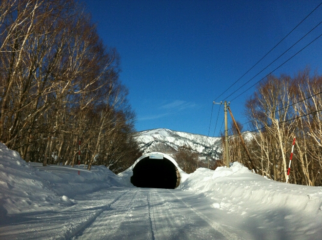 c0164354_1549186.jpg