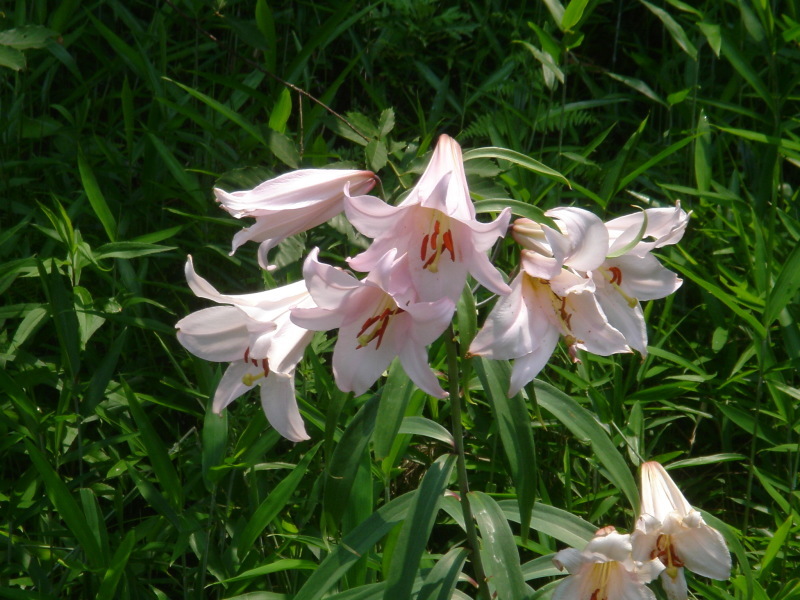 c0108460_00254210.jpg