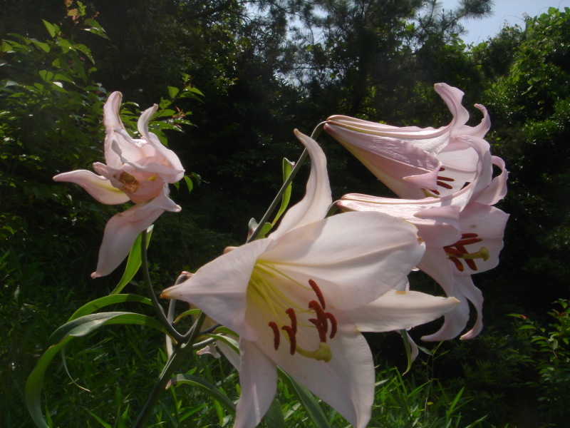 c0108460_00254365.jpg