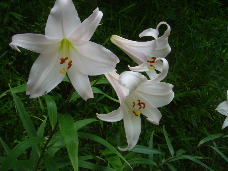 c0108460_00254486.jpg