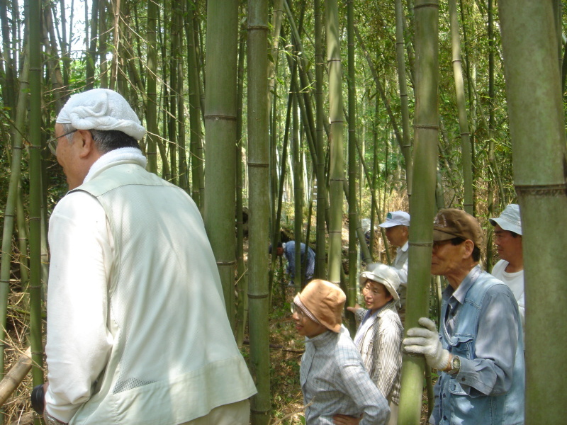 井関川竹林で竹伐り&BBQ・・・うみべの森を育てる会 _c0108460_21014511.jpg