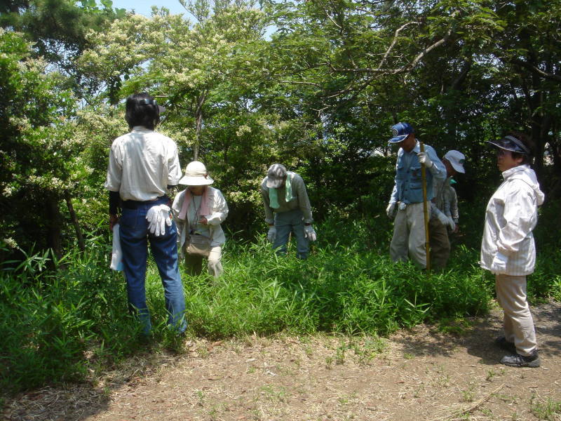 c0108460_22254572.jpg