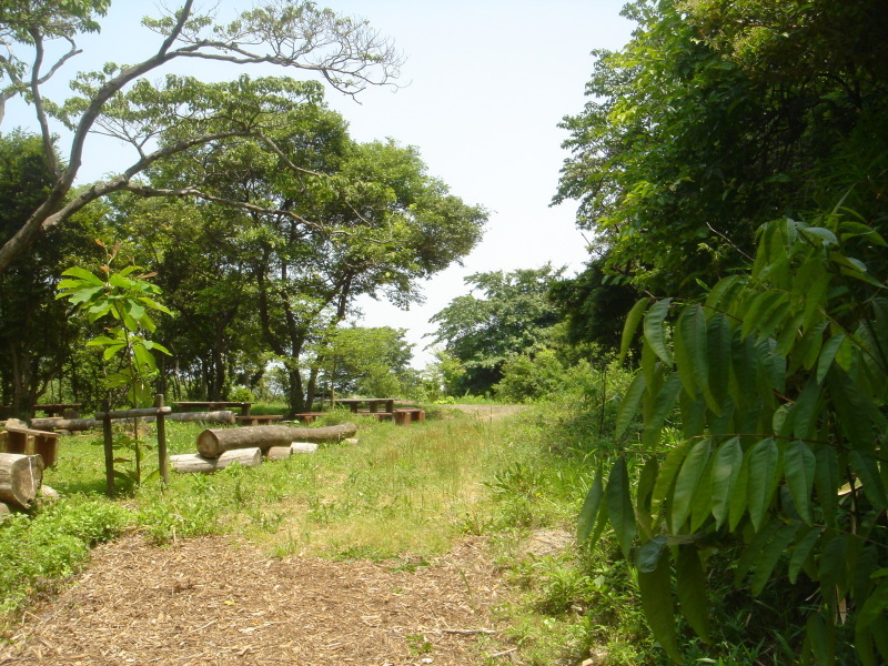 c0108460_22254663.jpg