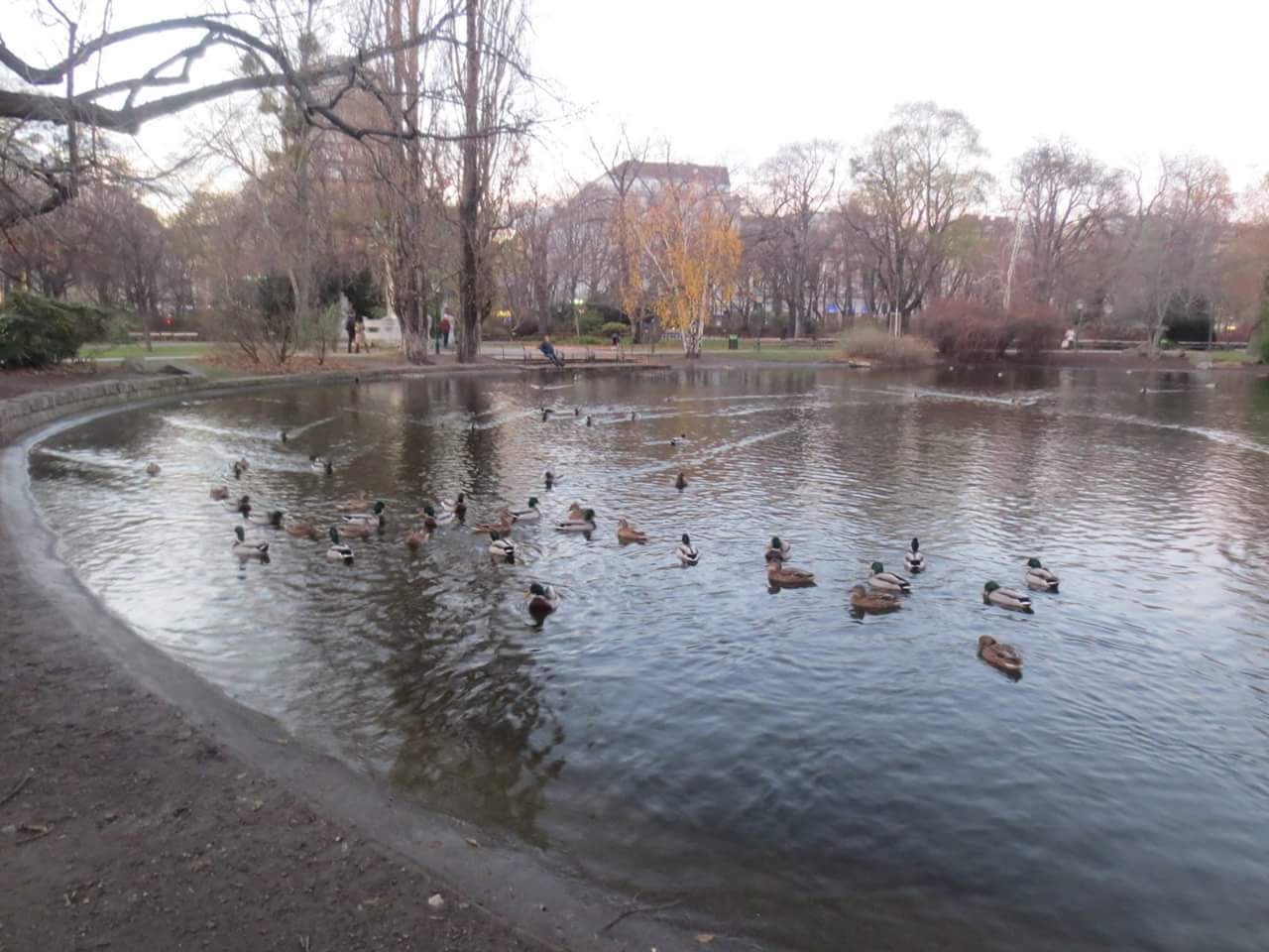 c0330562_21202336.jpeg