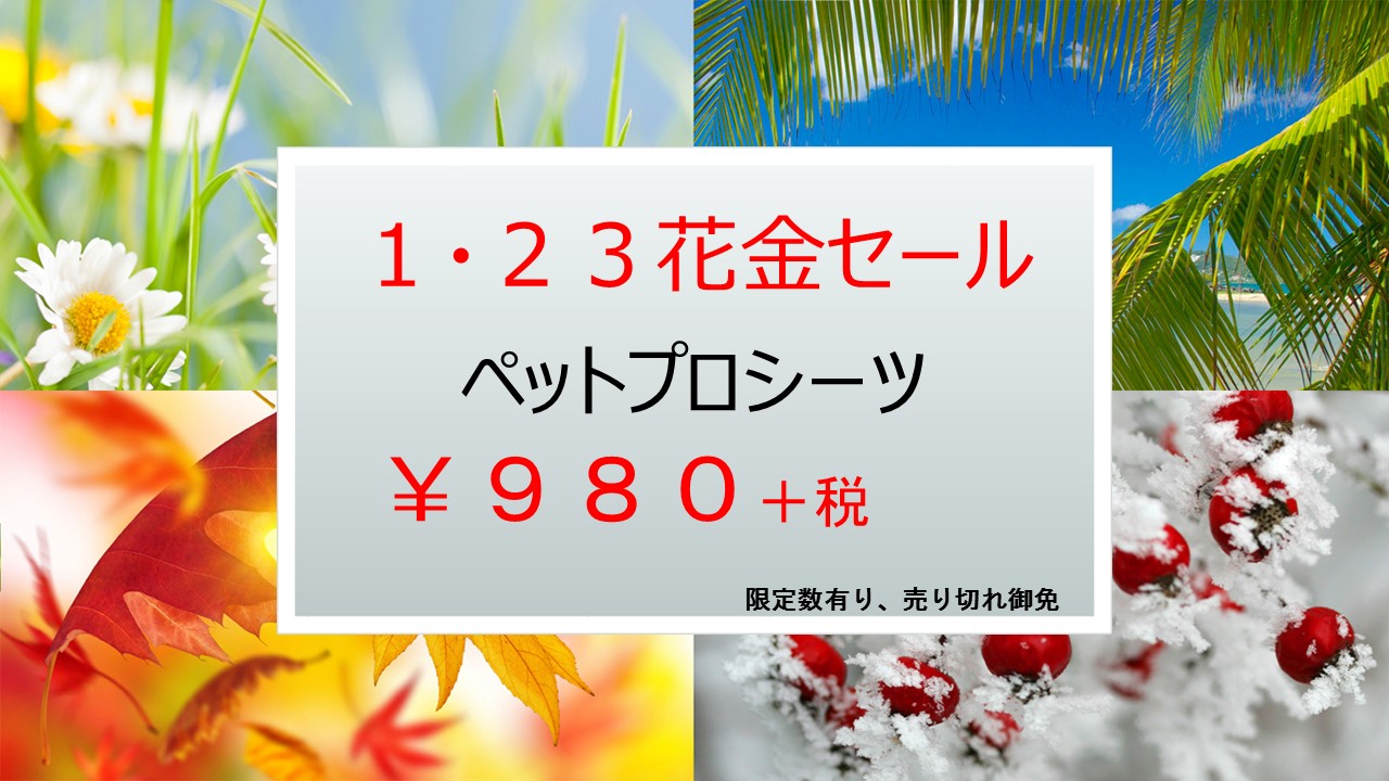 150121 花金セール_e0181866_1133176.jpg