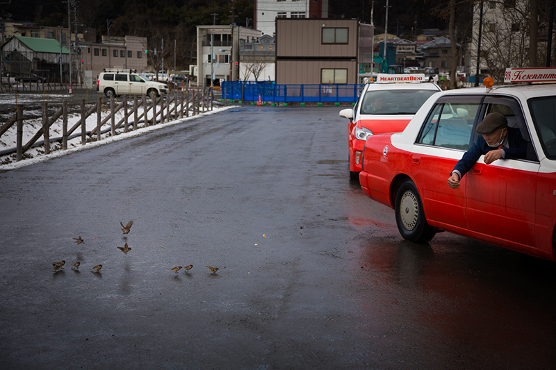 東日本大震災 4年目　三陸地方　今が旬、牡蠣がたべごろ！_b0229469_9582899.jpg