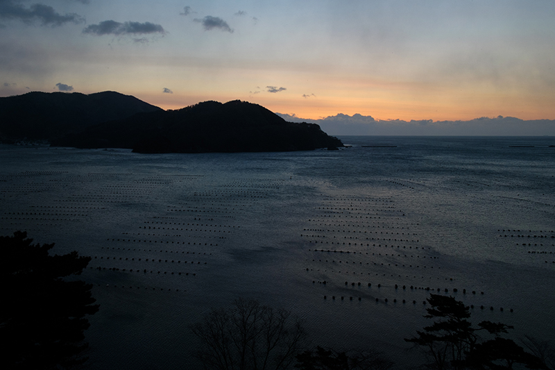 東日本大震災 4年目　三陸地方　今が旬、牡蠣がたべごろ！_b0229469_959948.jpg