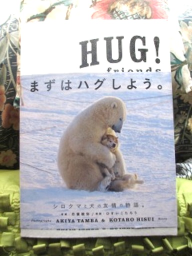 Hug まずハグしよう シロクマと犬の物語 By 写真 丹葉暁弥 物語 ひすいこたろう 絵本作家 仁科幸子