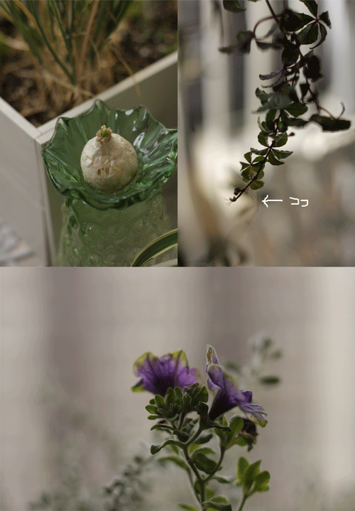 f0128096_12333836.gif