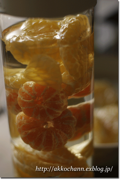 f0128096_20242828.gif