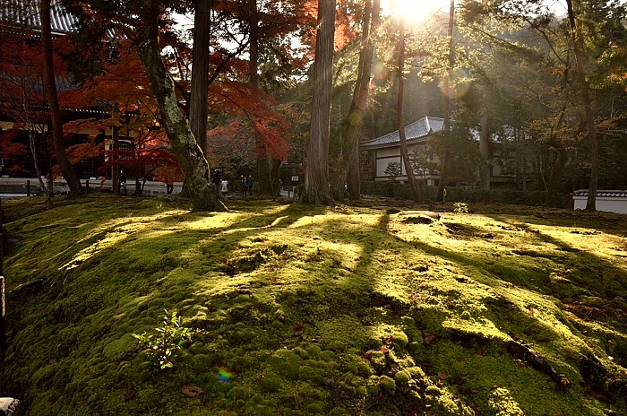 京都紅葉2014_a0258099_1003263.jpg