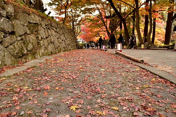 京都紅葉2014_a0258099_1021956.jpg