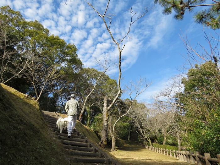 美しき日常 (^_-)_c0049299_22374651.jpg