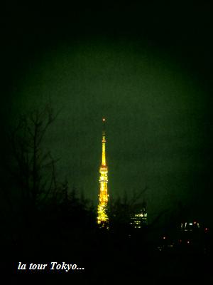 Tokyoの夜☆_c0098807_21215056.jpg