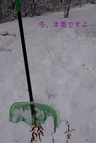 b0200310_14101596.jpg