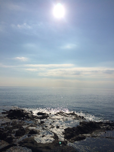 f0274713_22285190.jpeg