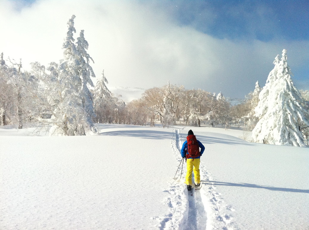 2015年1月　ふかふか雪　January 2015 \"Deep and Powder Snow\"_c0219616_1944354.jpg