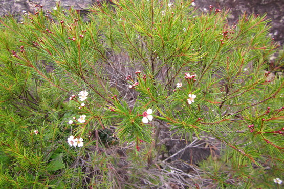 d0187020_040761.jpg
