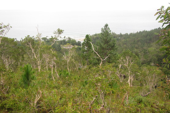 d0187020_103635.jpg