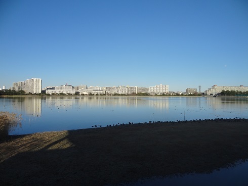 f0000521_07190185.jpg