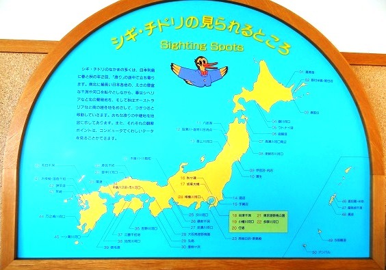 f0000521_07193598.jpg