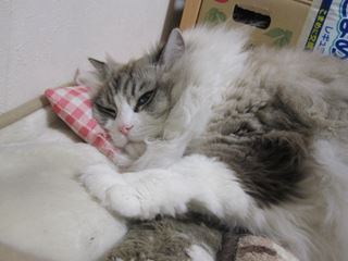 c0053625_2226131.jpg