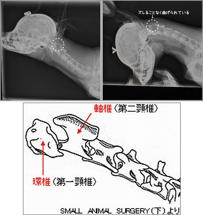d0179828_15542736.png