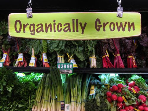 Organically in San Francisco_d0010432_2035235.jpg