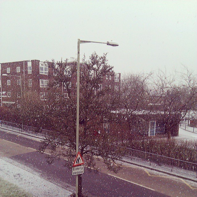 初雪♪_b0167736_6551876.jpg