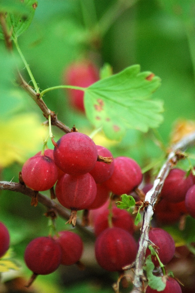 f0202445_23295153.jpg