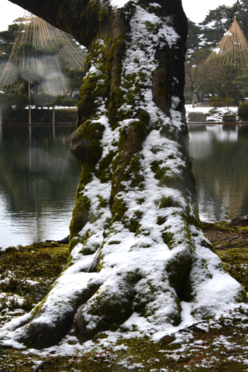 c0093046_8412446.gif