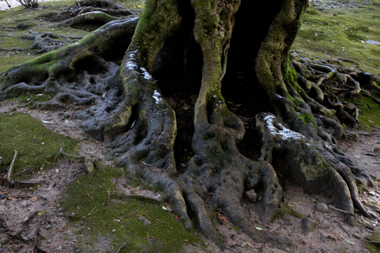 c0093046_8414268.gif