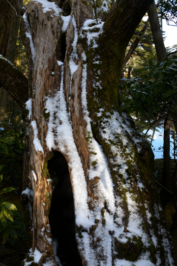 c0093046_8415744.gif