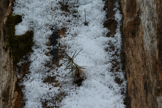 c0093046_8421166.gif