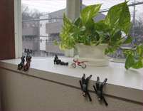 a0019747_4142913.gif