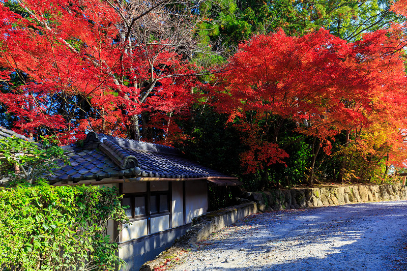 西山の紅葉（正法寺・大原野神社）_f0155048_21565094.jpg