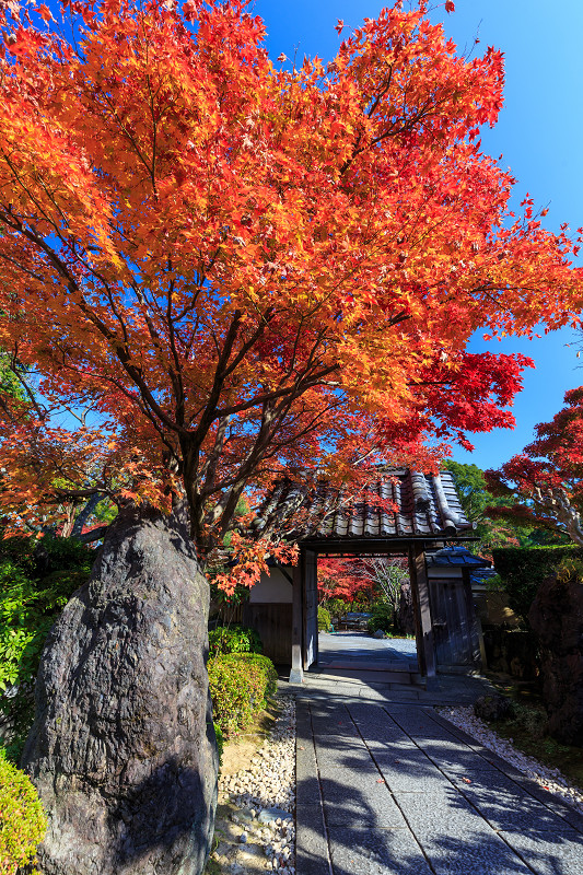 西山の紅葉（正法寺・大原野神社）_f0155048_21584661.jpg