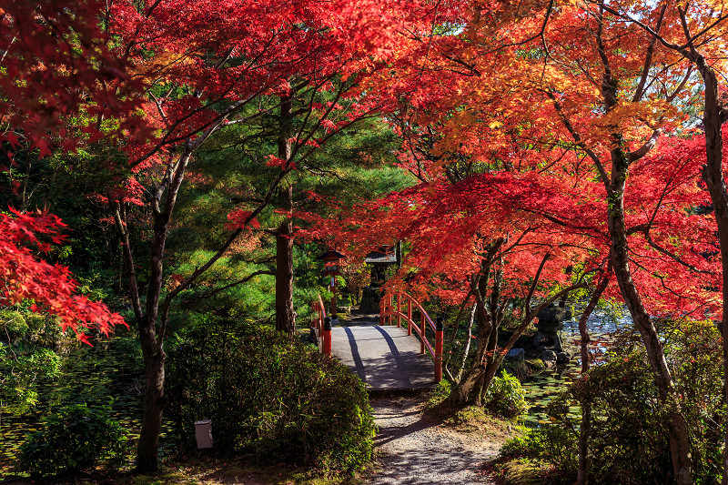 西山の紅葉（正法寺・大原野神社）_f0155048_2274898.jpg