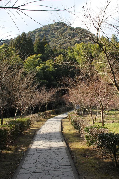 【武雄神社】　御神木は樹齢3000年の「武雄の大楠」_c0011649_0161328.jpg