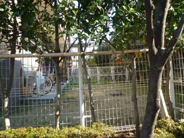 b0246953_19453653.jpg