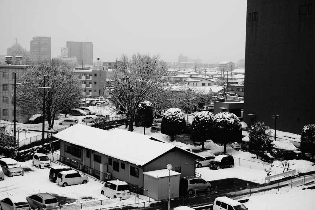 Snow 長野県松本市 雪 Photo 行雲流水
