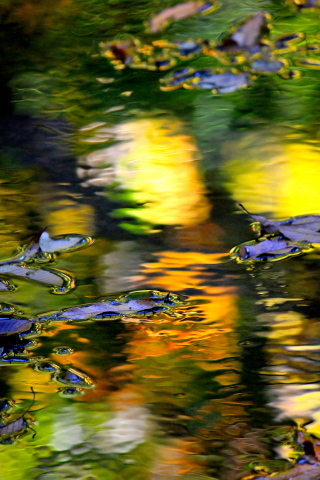 a0248459_18351177.jpg