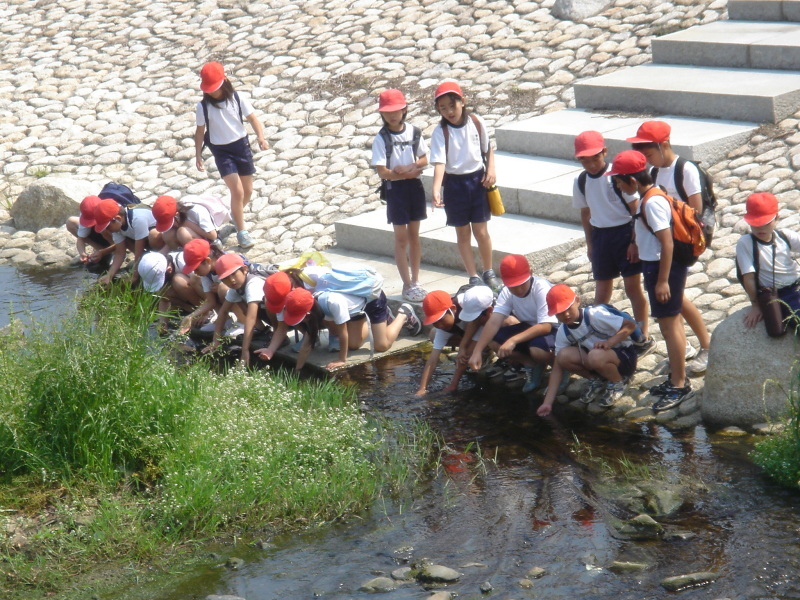 箱作小学校４年学習サポート「茶屋川探検　Ⅰ（上・中流）・・・うみべの森を育てる会サポート_c0108460_22471198.jpg