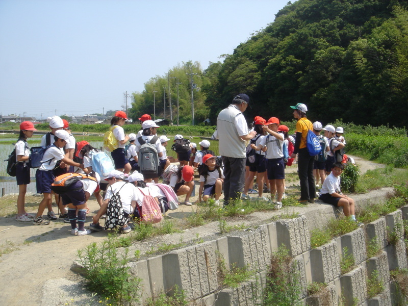 箱作小学校４年学習サポート「茶屋川探検　Ⅰ（上・中流）・・・うみべの森を育てる会サポート_c0108460_22502318.jpg