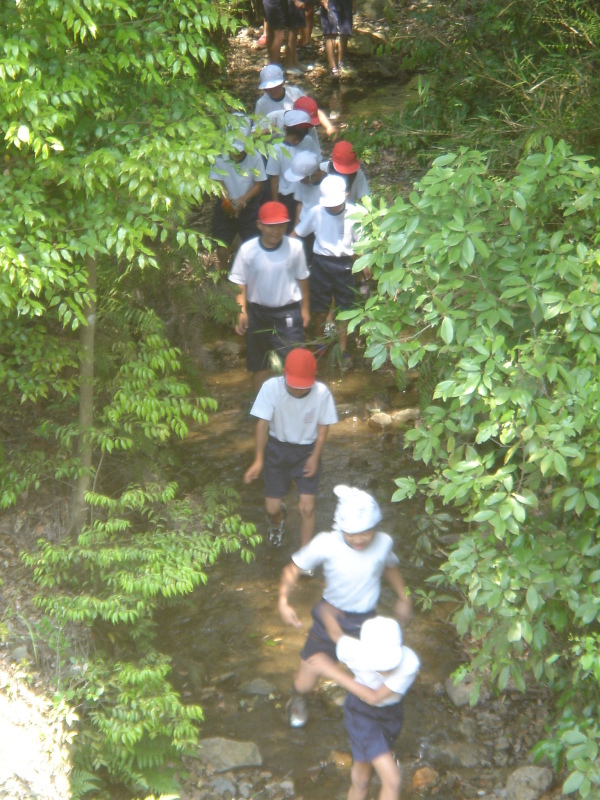 箱作小学校４年学習サポート「茶屋川探検　Ⅰ（上・中流）・・・うみべの森を育てる会サポート_c0108460_22524600.jpg