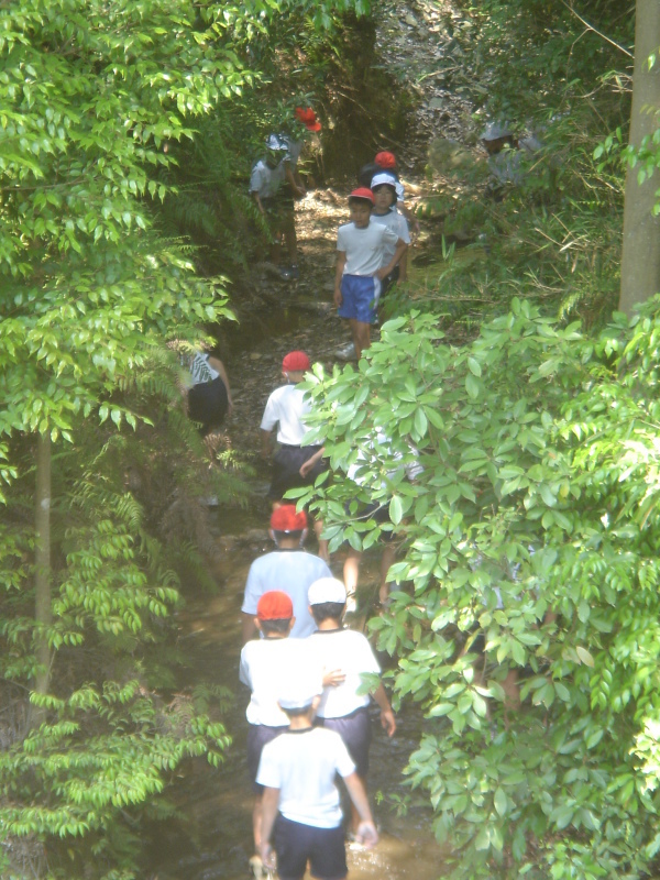 箱作小学校４年学習サポート「茶屋川探検　Ⅰ（上・中流）・・・うみべの森を育てる会サポート_c0108460_22524784.jpg