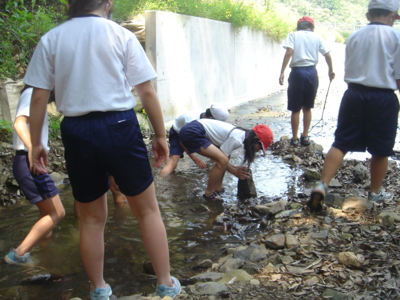 箱作小学校４年学習サポート「茶屋川探検　Ⅰ（上・中流）・・・うみべの森を育てる会サポート_c0108460_22530102.jpg